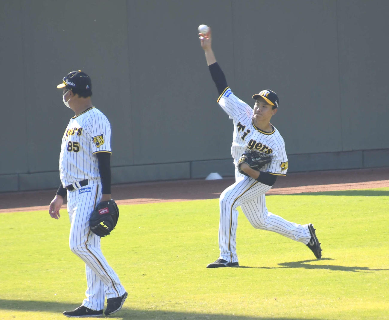 鳴尾浜球場でキャッチボールする阪神湯浅（撮影・中野椋）