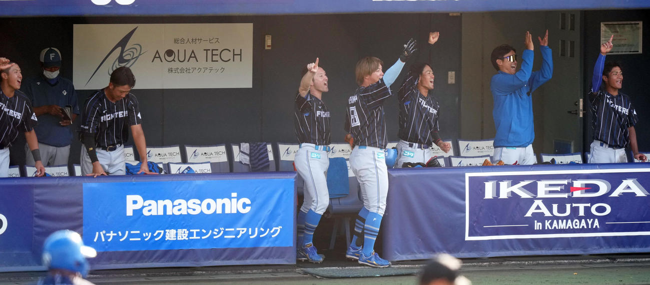 紅白戦の5回表2死二塁、郡の中適時三塁打に盛り上がる日本ハム杉谷（中央）らベンチ（撮影・鈴木みどり）