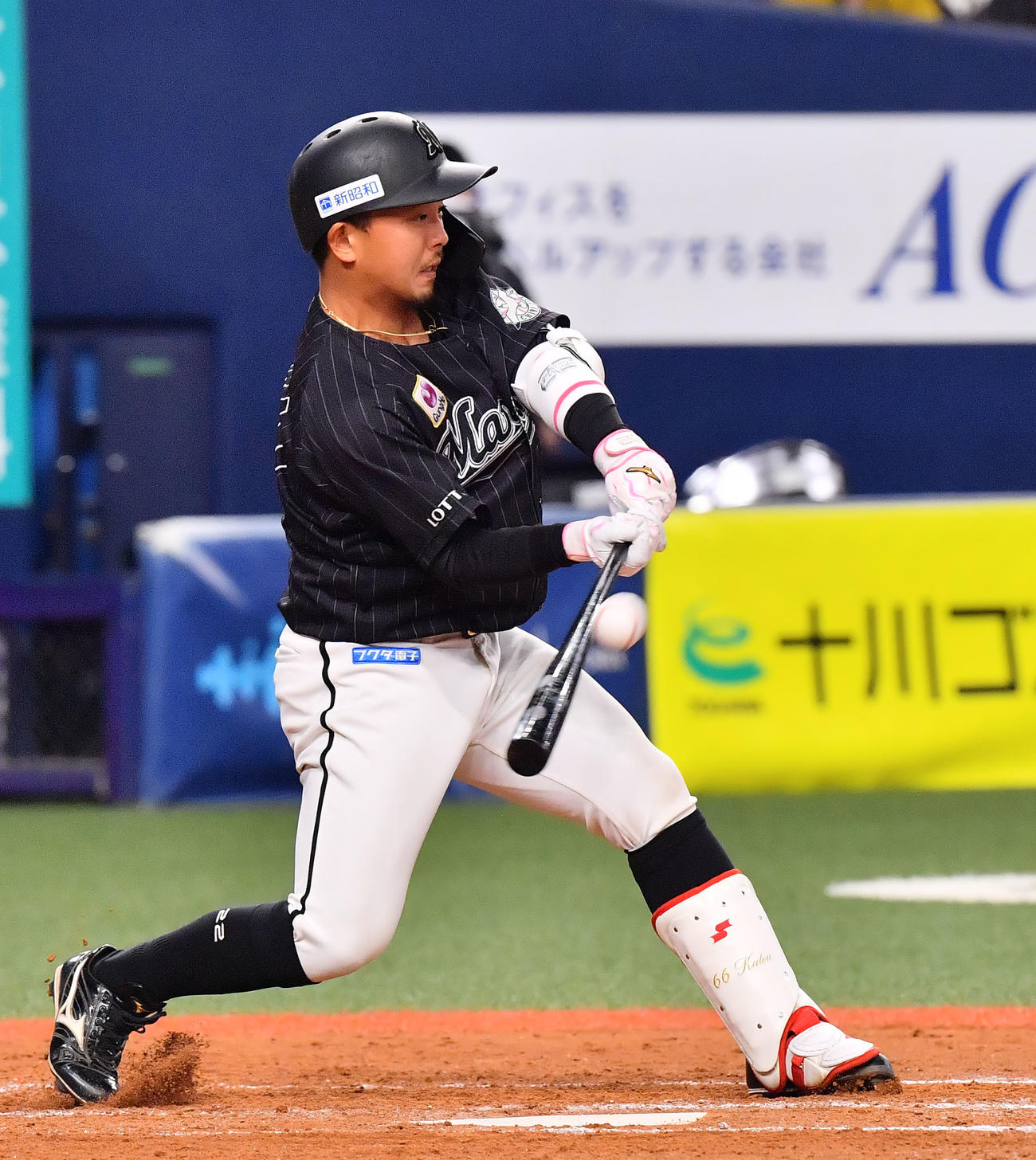 ロッテ田村龍弘（2021年3月2日撮影）