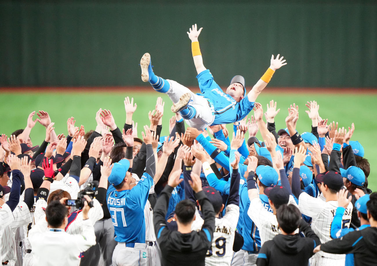 日本代表対日本ハム　試合後、日本ハムと日本代表の選手たちに胴上げされる杉谷（撮影・江口和貴）
