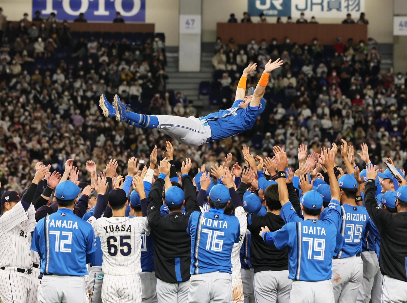 日本代表対日本ハム　両チームの選手から胴上げされる日本ハム杉谷（撮影・足立雅史）