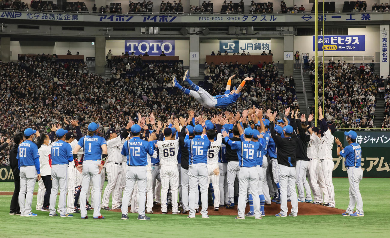 日本代表対日本ハム　両チームの選手から胴上げされる日本ハム杉谷（撮影・足立雅史）
