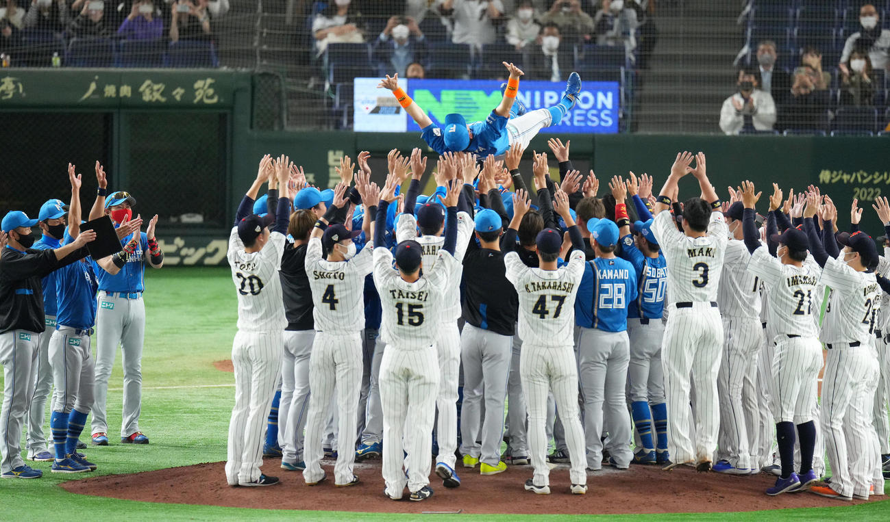 日本代表対日本ハム　試合後、両チームの選手たちから胴上げされる日本ハム杉谷を笑顔で見つめる新庄監督（左から4人目）（撮影・垰建太）