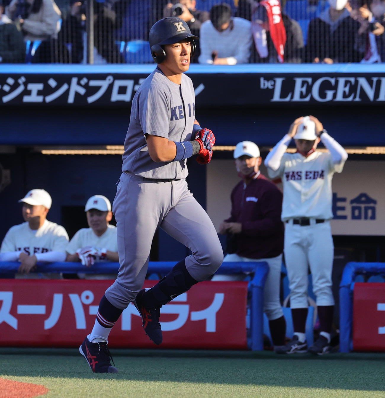 早大対慶大　5回裏慶大1死二塁、代打で右飛に倒れベンチに戻る清原（撮影・野上伸悟）