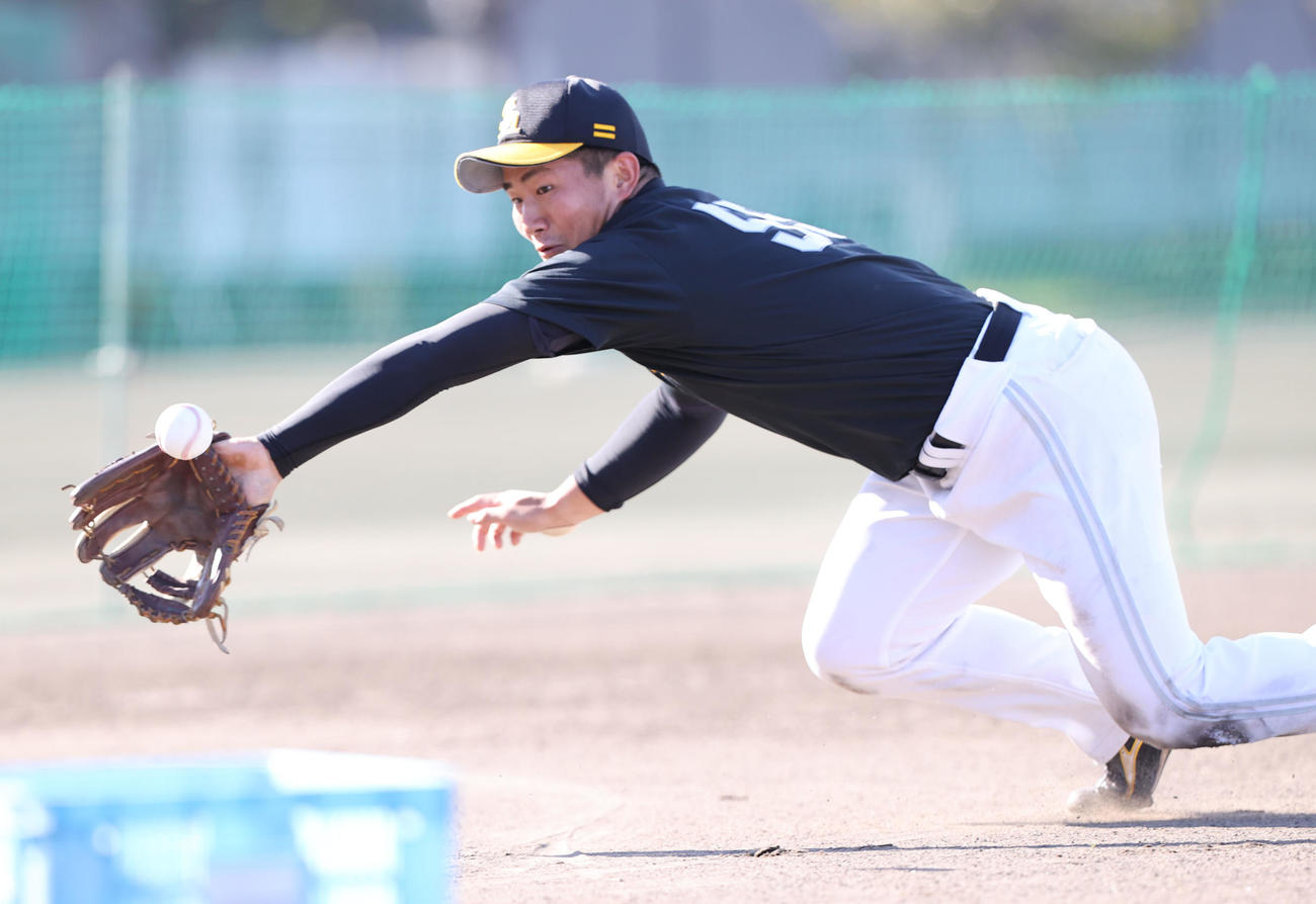 藤本博史監督のノックを受ける野村大樹（撮影・梅根麻紀）