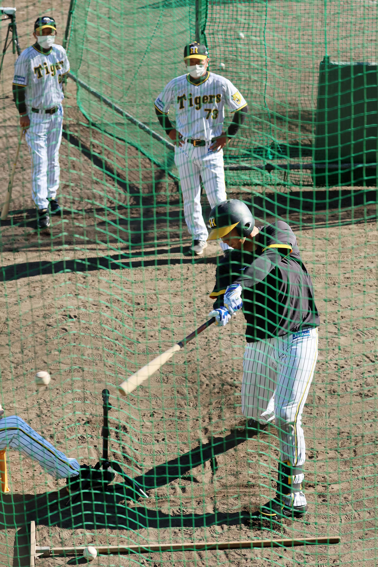 ティー打撃を行う井上。後方左は岡田監督、右は水口コーチ（撮影・加藤哉）