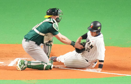 日本対オーストラリア　6回裏日本無死一、二塁、佐藤輝の適時二塁打で一塁から本塁を狙うもアウトとなる岡本和（撮影・菅敏）