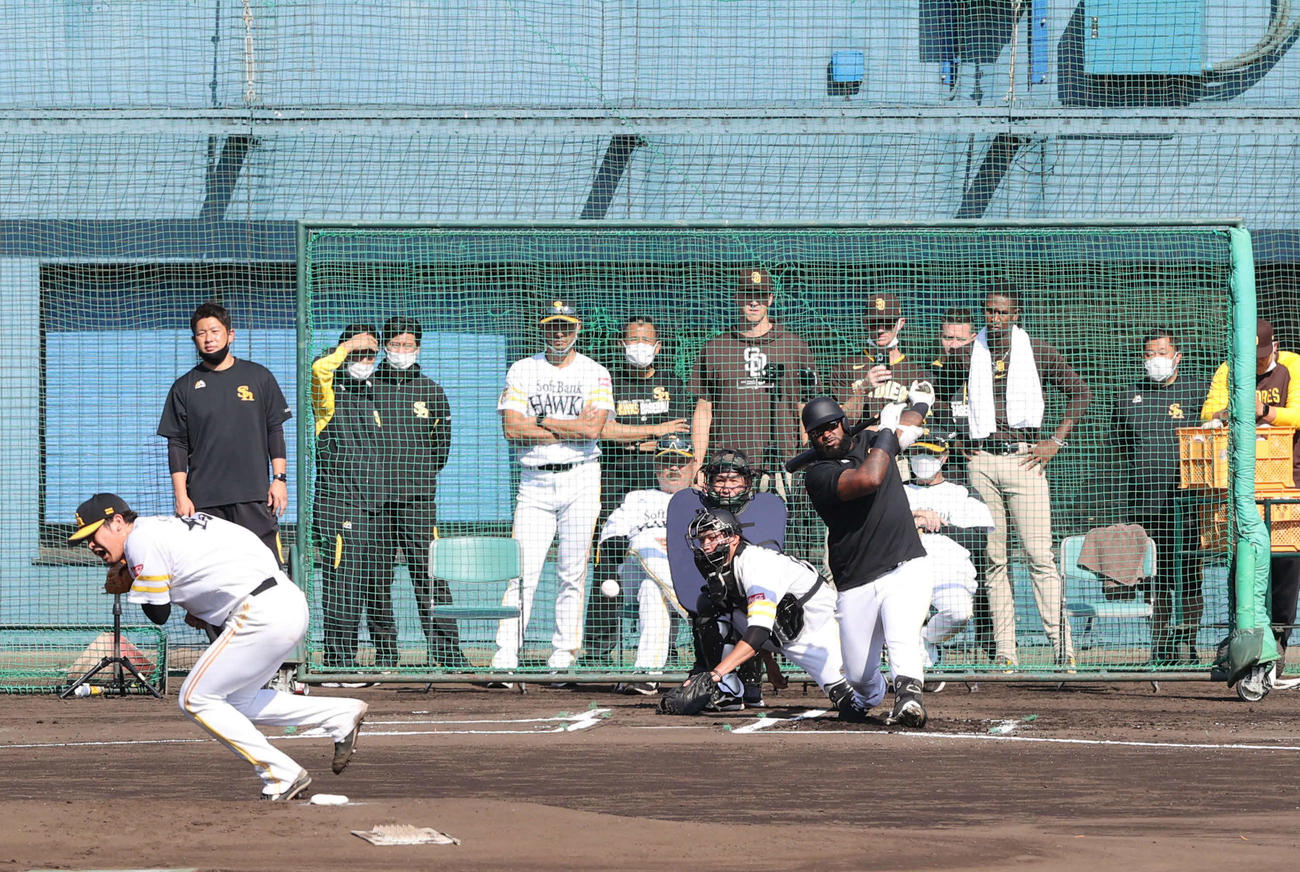 シート打撃で安打を放つホーキンス。投手は杉山（撮影・梅根麻紀）