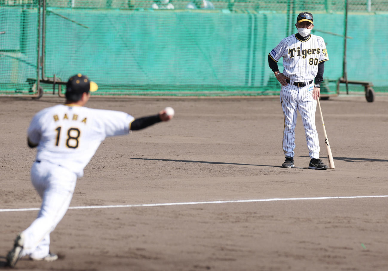 投内連係を見守る阪神岡田監督。左は馬場（撮影・前田充）