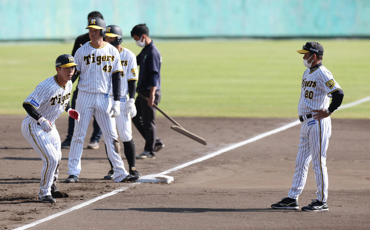 走塁練習を見つめる阪神岡田監督（右）（撮影・前田充）