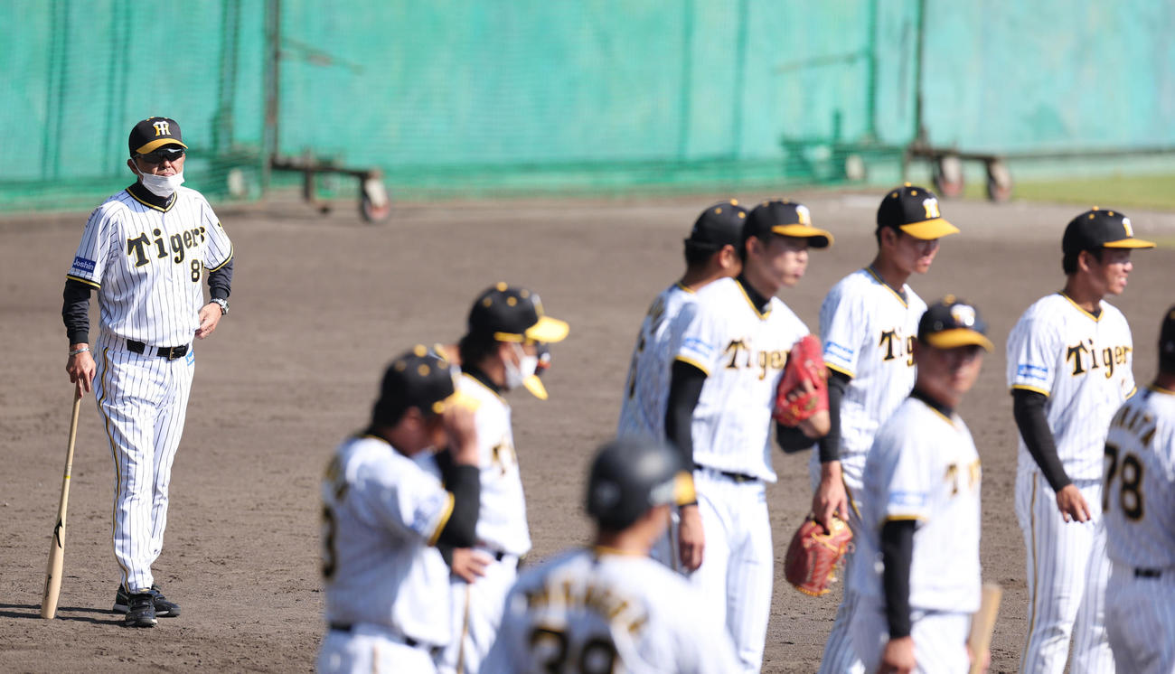 ケースノックを見守った阪神岡田監督（左端）（撮影・前田充）