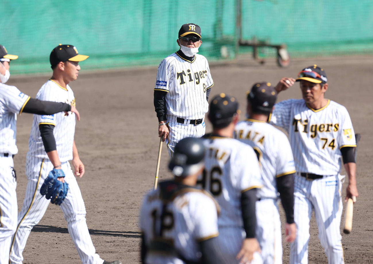 ケースノックを見守った阪神岡田監督（中央）（撮影・前田充）