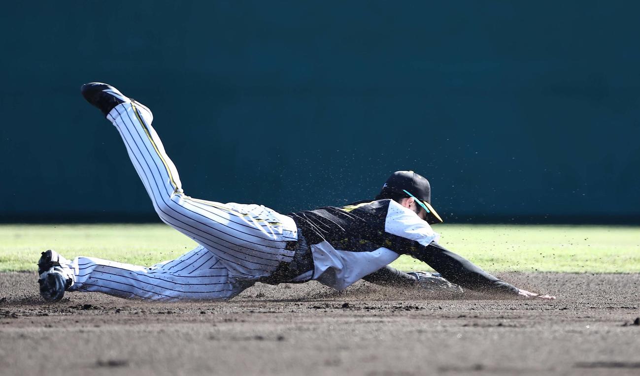 二塁でノックを受ける中野はボールに飛びつく（撮影・上田博志）