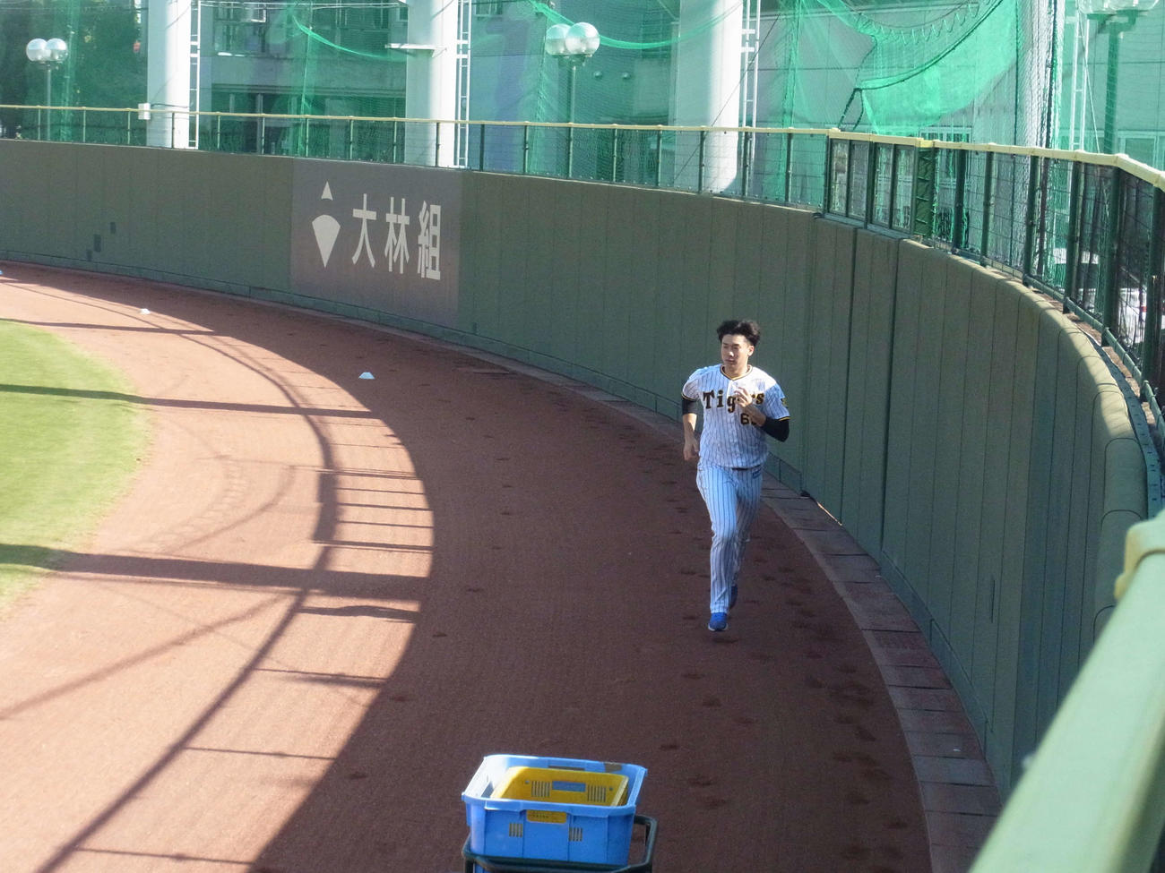 秋季練習に合流した阪神湯浅（撮影・堀まどか）