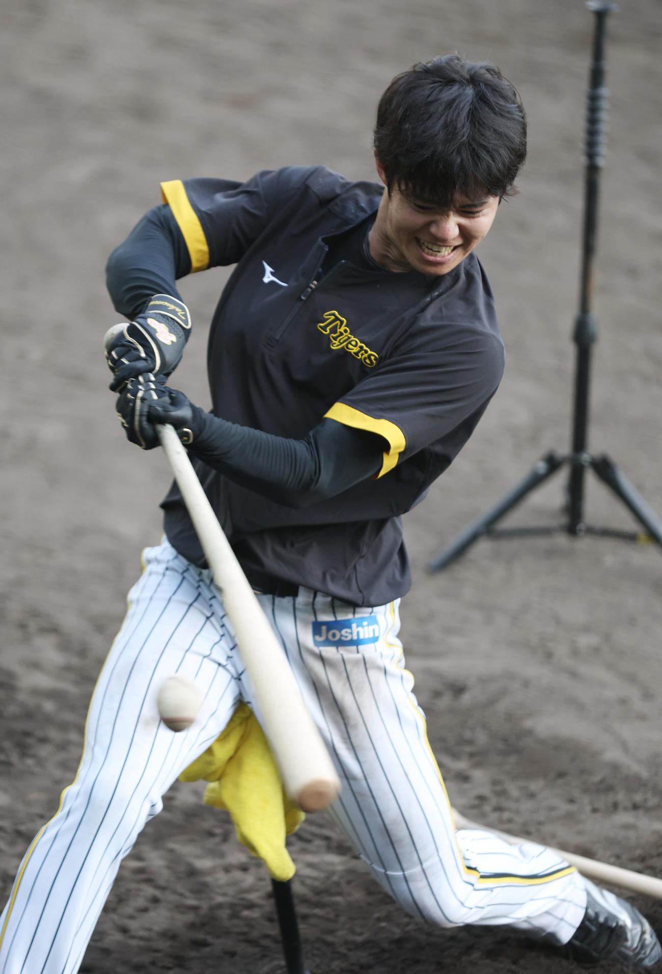 1本足の椅子に座り打撃練習する阪神中野（撮影・前田充）