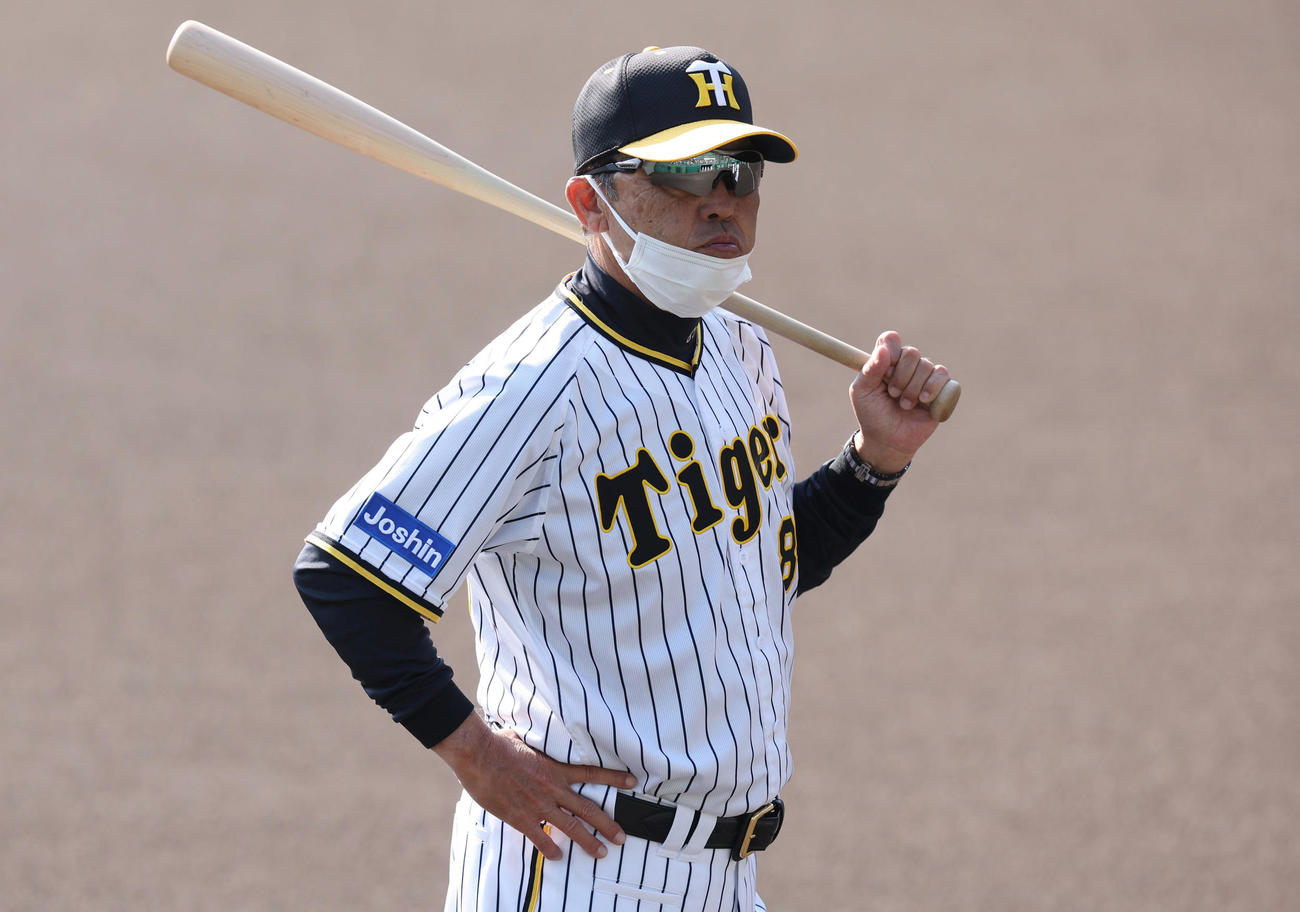 バットを手に練習を見つめる阪神岡田監督（撮影・前田充）