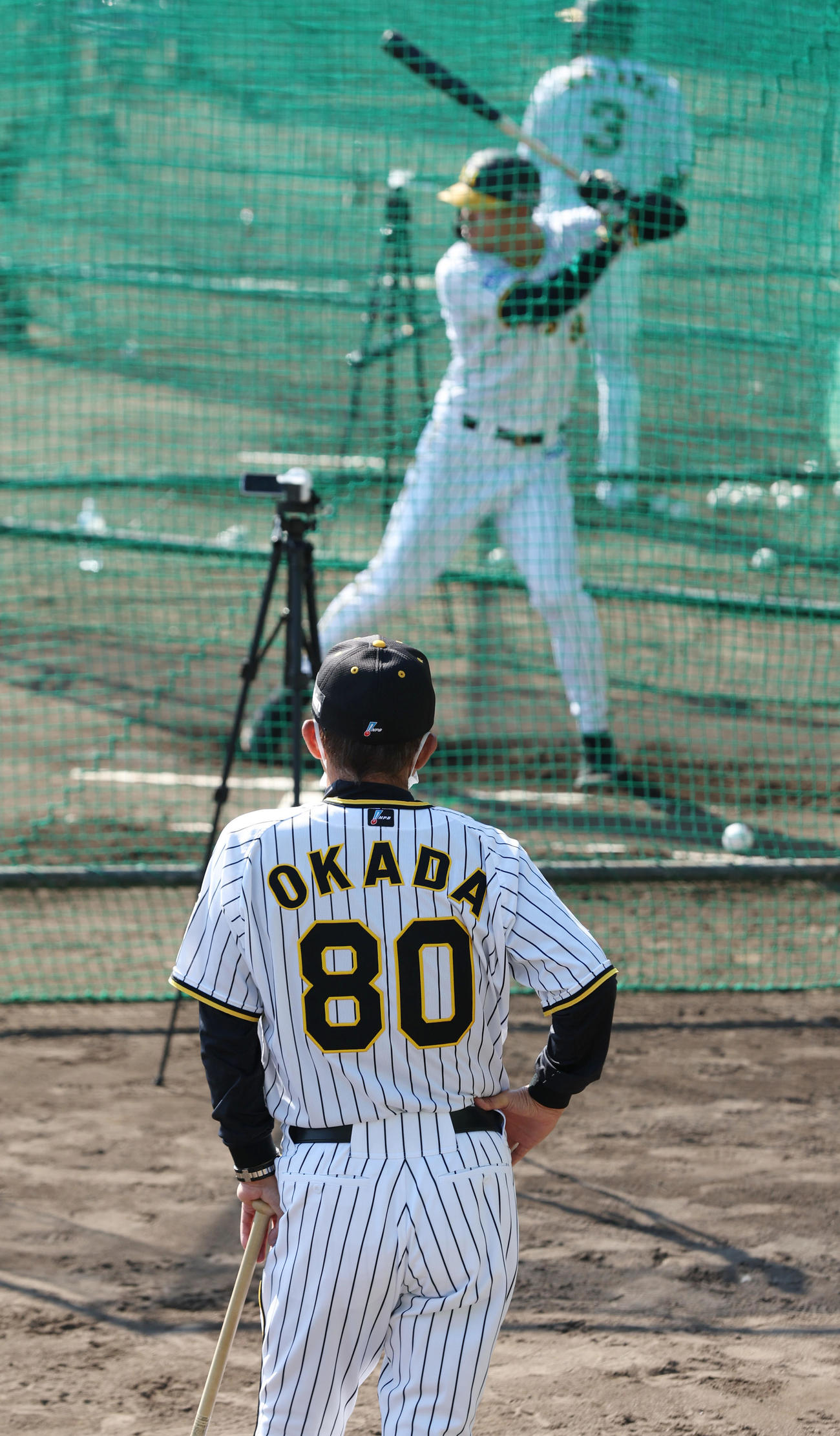 ランチ特打を行う阪神佐藤輝を見つめる岡田監督（撮影・前田充）