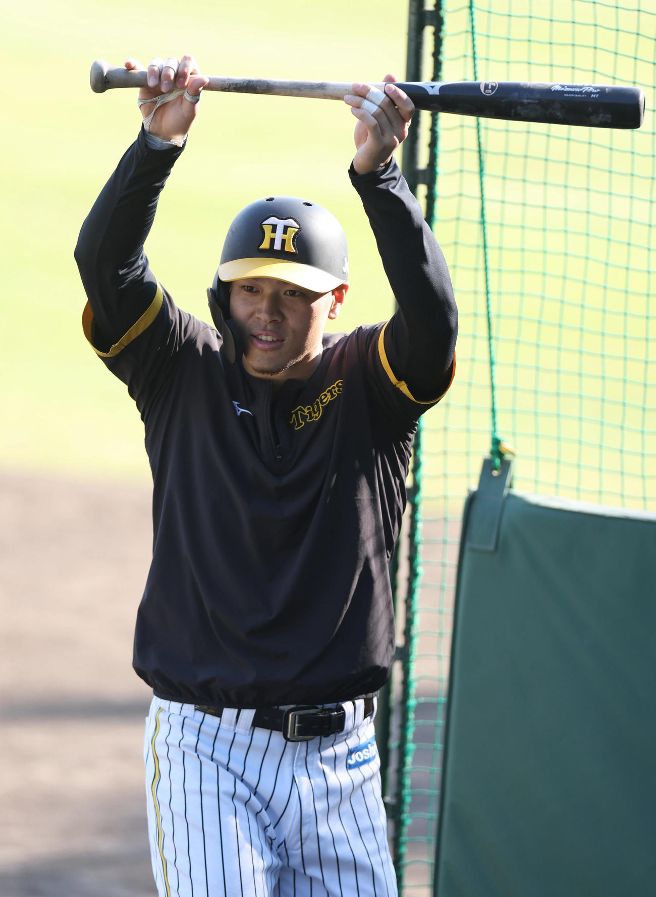 バント練習を行う阪神佐藤輝（撮影・前田充）