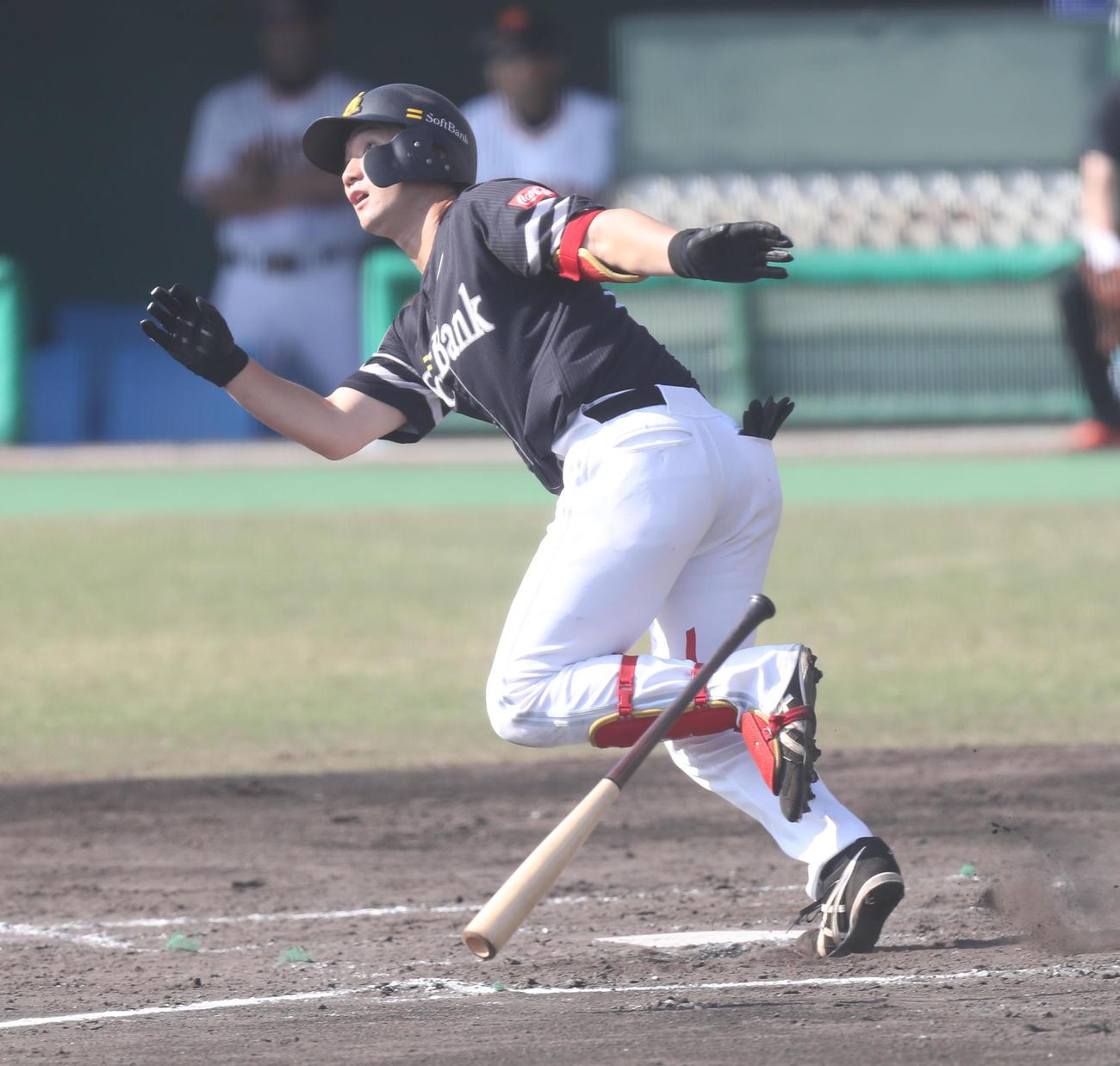 巨人対ソフトバンク　3回表ソフトバンク2死、正木は中越え本塁打を放つ（撮影・屋方直哉）