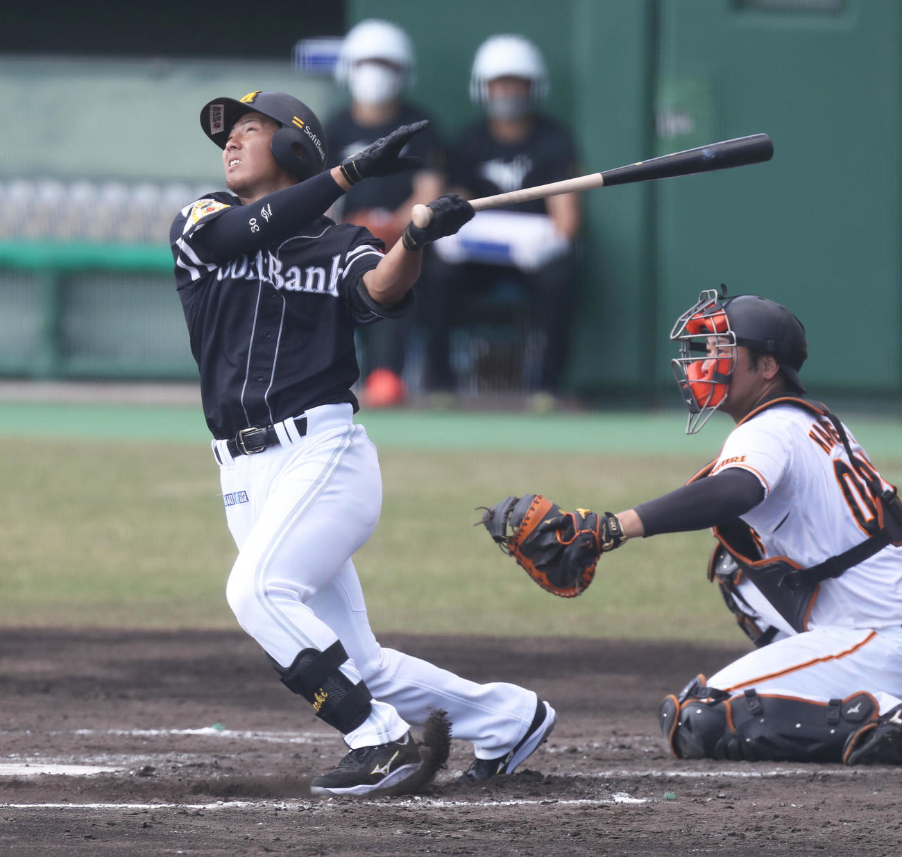 巨人対ソフトバンク　2回表ソフトバンク2死二塁、佐藤直は左越え2点本塁打を放つ（撮影・屋方直哉）