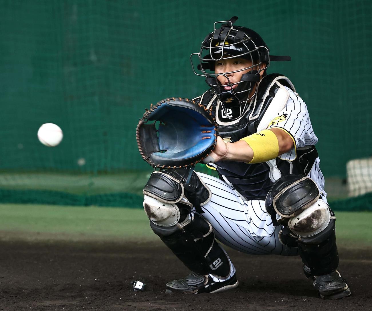 ブルペンで村上の投球を受ける梅野（撮影・上田博志）