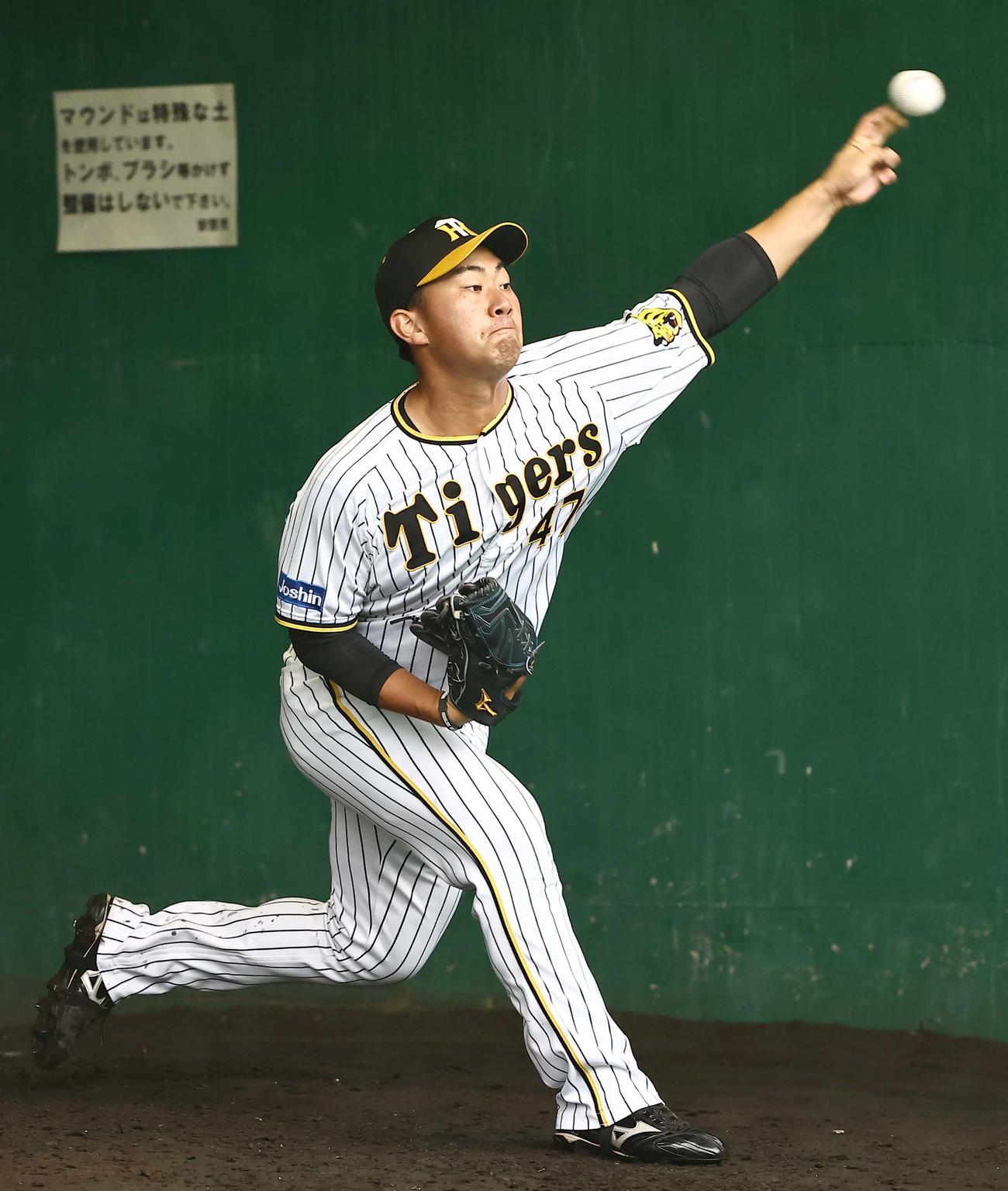 ブルペンで投球練習をする桐敷（撮影・上田博志）