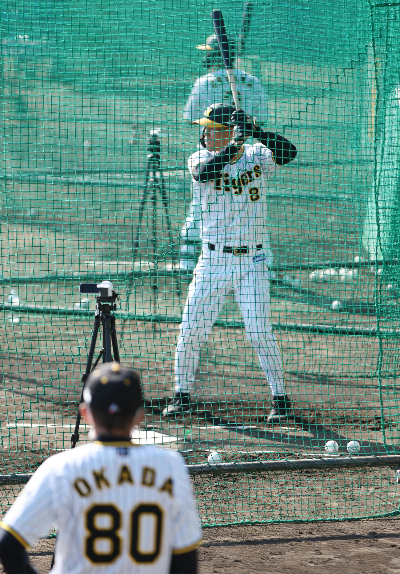 12日、ランチ特打を行う阪神佐藤輝。手前は岡田監督