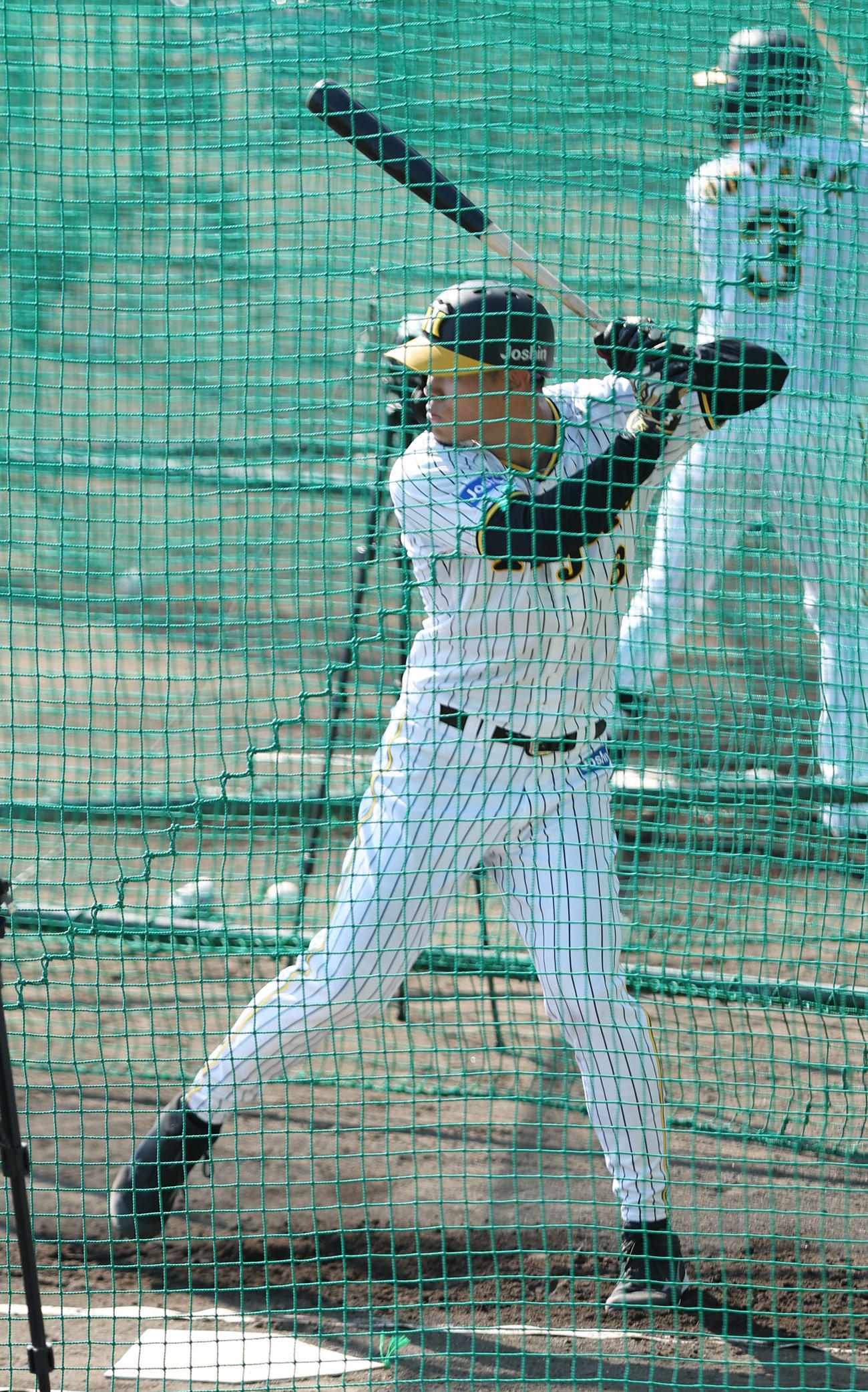 12日、ランチ特打を行う阪神佐藤輝