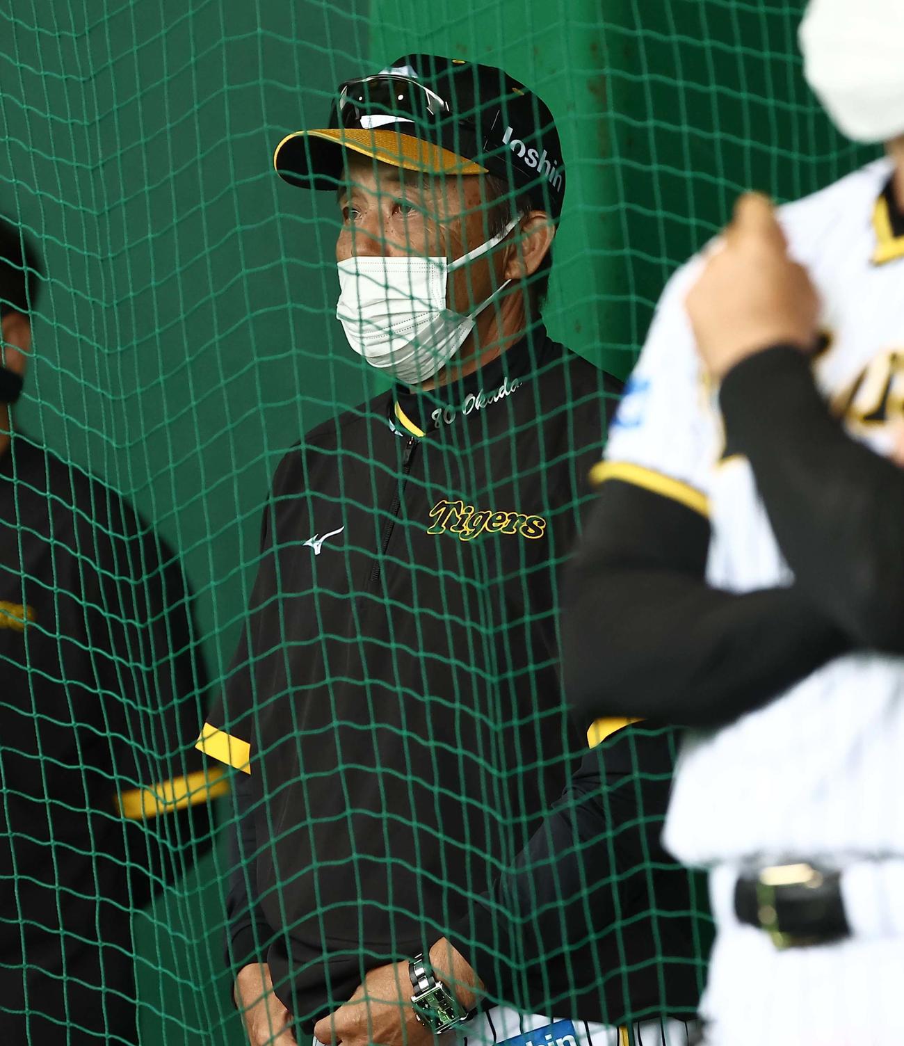 ブルペンで投球練習を見守る岡田監督（撮影・上田博志）