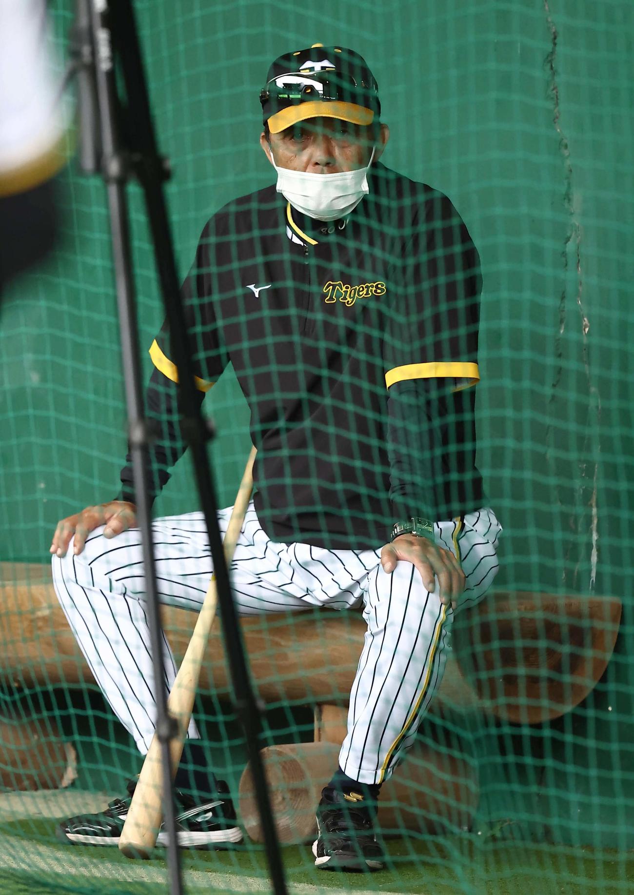 ブルペンで投球練習を見守る岡田監督（撮影・上田博志）