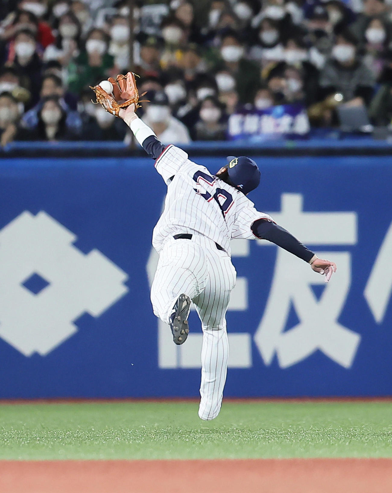 ヤクルト対オリックス　2回表オリックス2死、紅林の飛球を好捕する遊撃手長岡（2022年10月29日撮影）