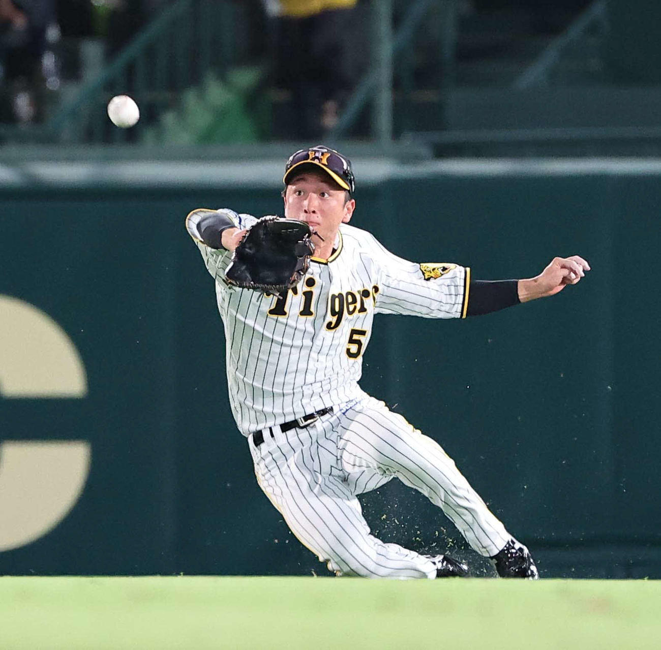 阪神近本光司（2022年7月24日撮影）