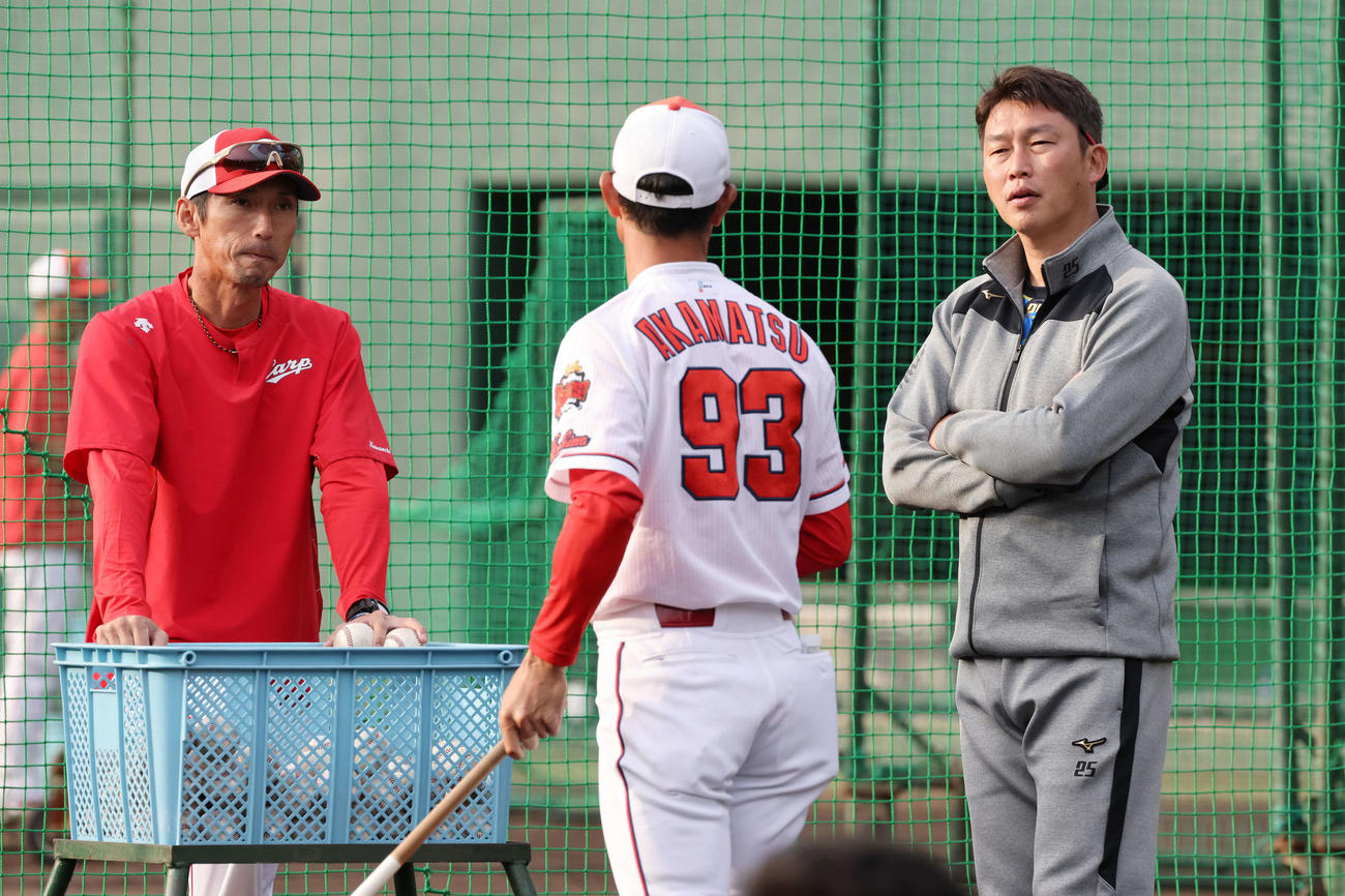 広島秋季キャンプ　外野手のノックを見守る新井新監督（右）。左は福地コーチ、中央は赤松コーチ（撮影・加藤孝規）