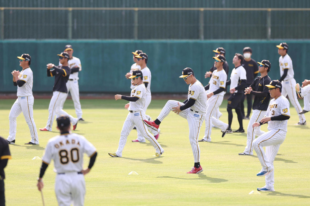 先頭に立ちウオーミングアップする、左から阪神西純、伊藤将、中野、佐藤輝、大山。手前は岡田監督（撮影・前田充）