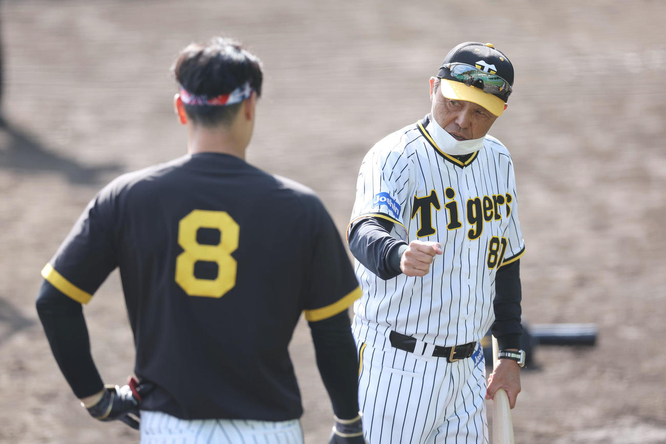 阪神佐藤輝（左）を打撃指導する岡田監督（撮影・前田充）