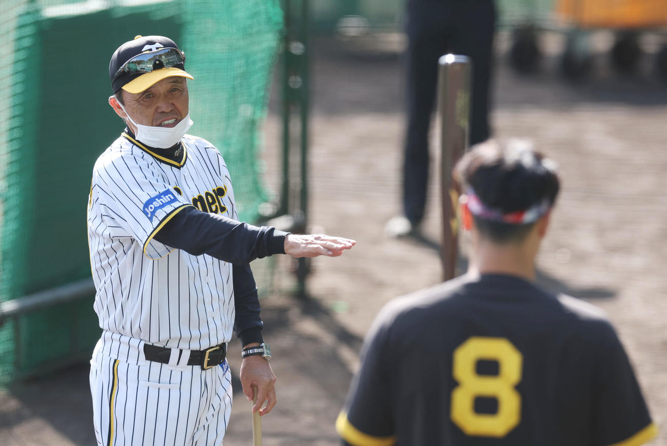阪神佐藤輝（右）を打撃指導する岡田監督（撮影・前田充）