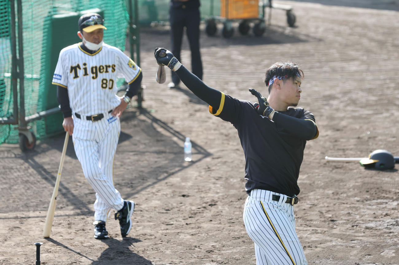 阪神岡田監督（左）から打撃指導を受ける佐藤輝（撮影・前田充）