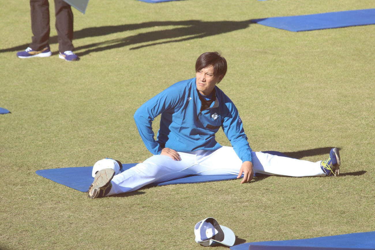 千葉・鎌ケ谷で秋季練習に参加した日本ハム斎藤綱（撮影・木下大輔）