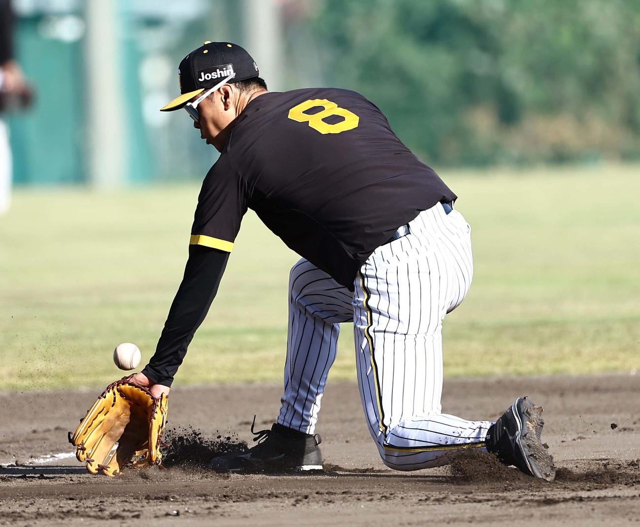ノックのボールを後逸する佐藤輝（撮影・上田博志）