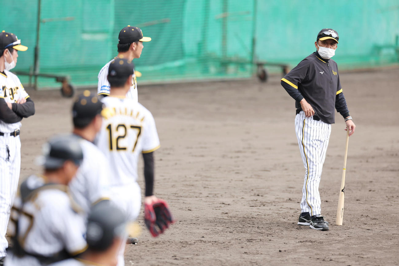 ケースノックを見つめる阪神岡田監督（右）（撮影・前田充）