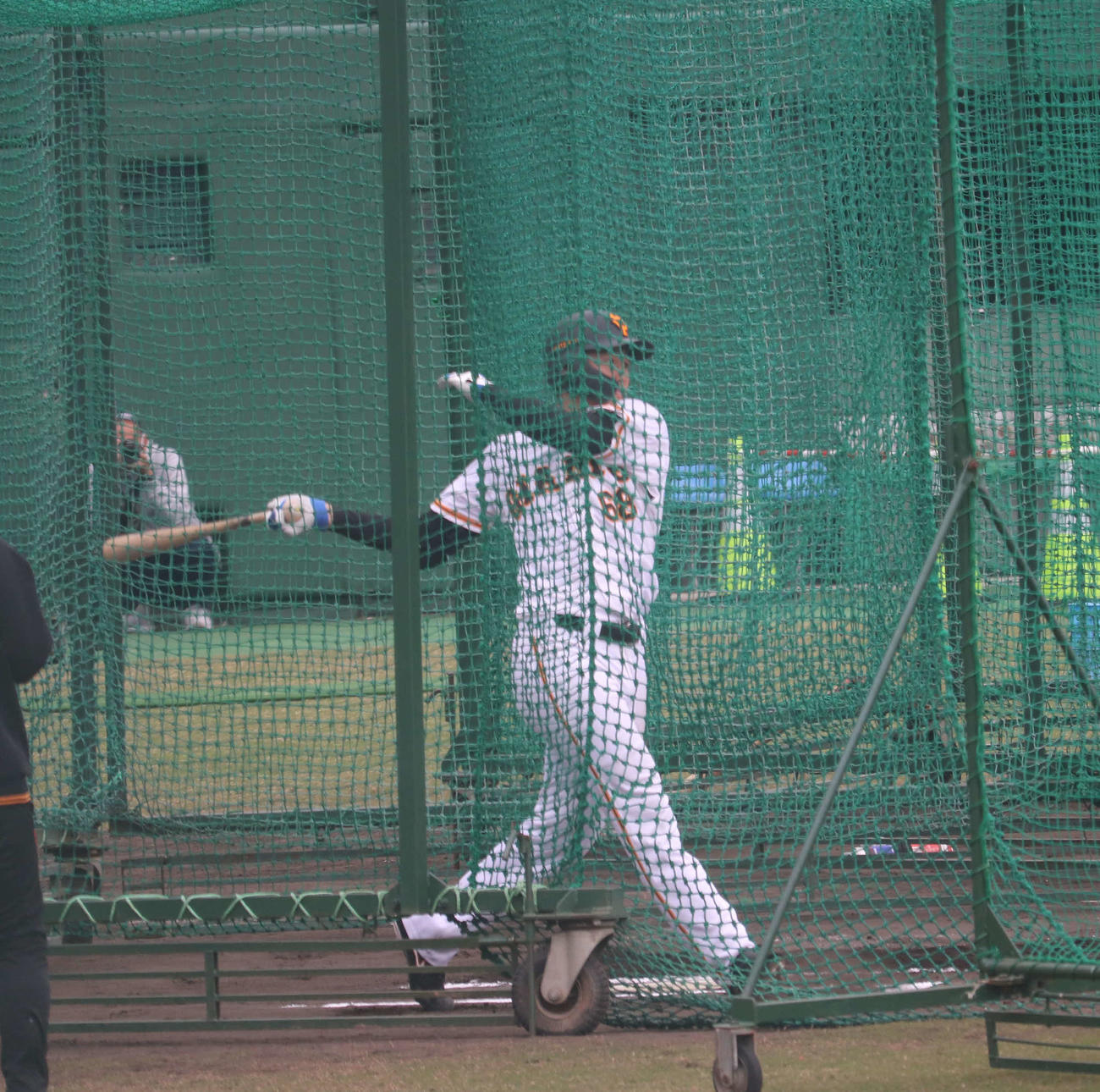フリー打撃で快音を響かせる巨人代木（撮影・小早川宗一郎）