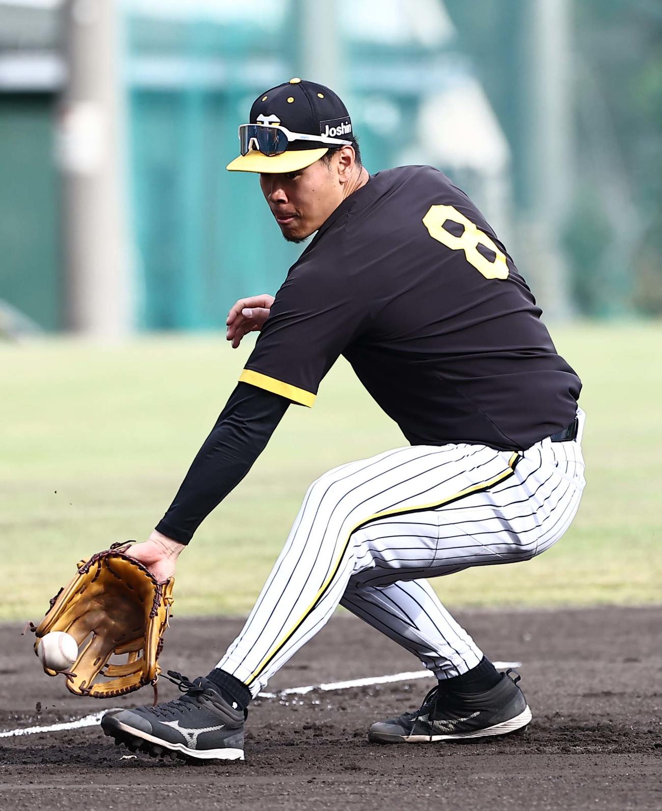 三塁ノックを受ける佐藤輝（撮影・上田博志）