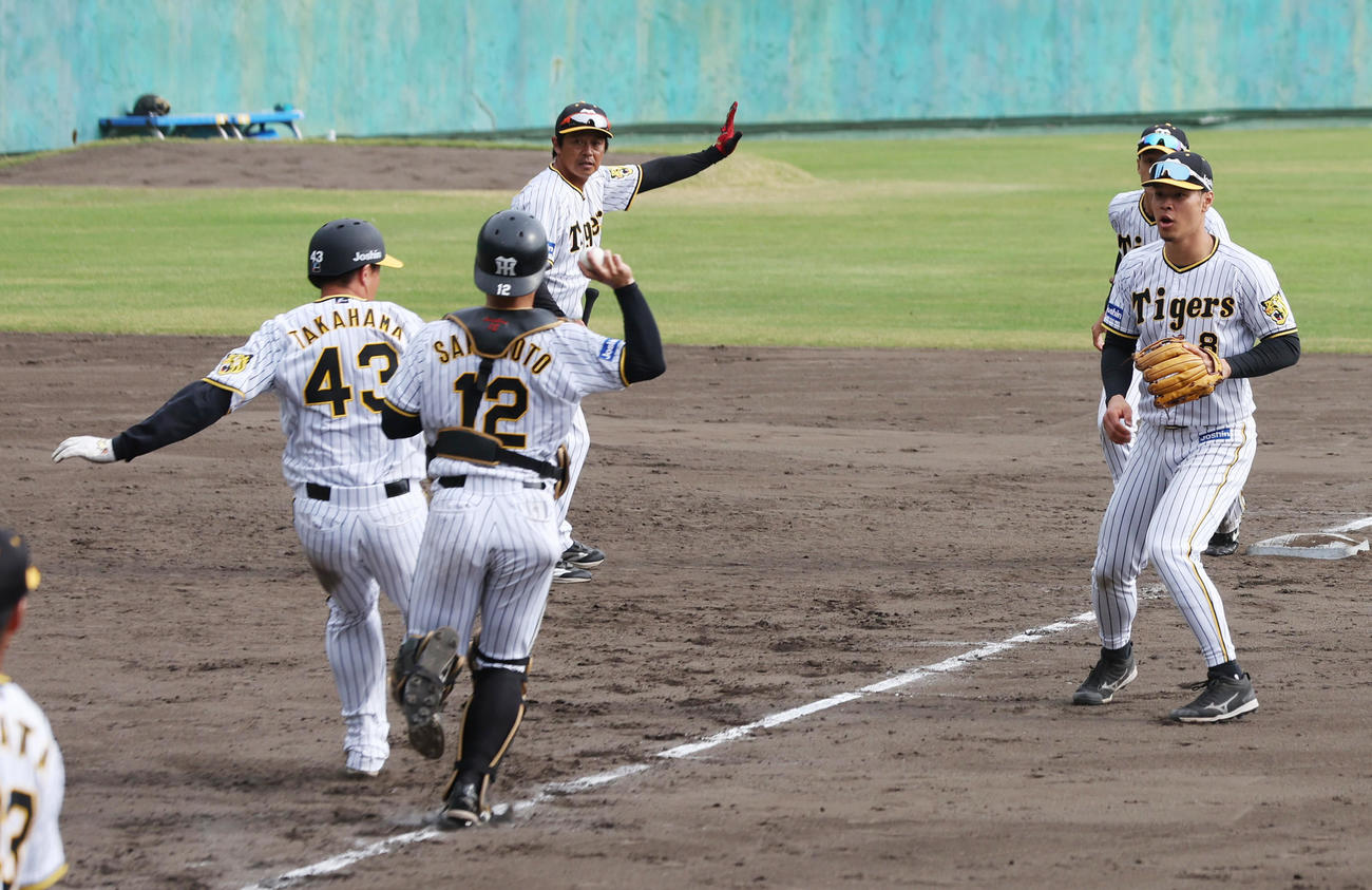 ケースノックで三本間の挟殺プレーを行う坂本（左から2人目）と佐藤輝（右）ら（撮影・前田充）