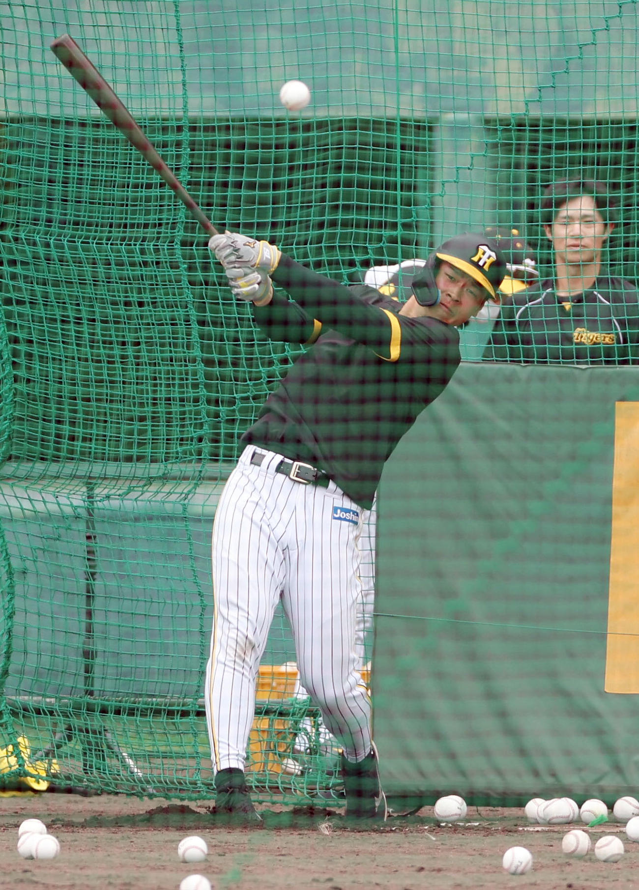 フリー打撃を行う阪神佐藤輝（撮影・前田充）