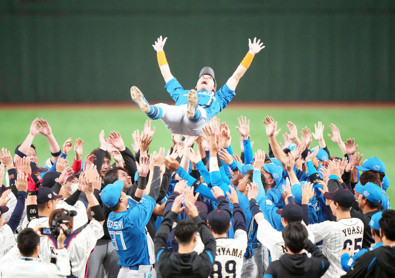 胴上げされる杉谷（2022年11月5日撮影）