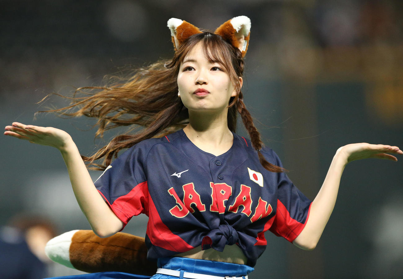 侍ジャパン仕様のコスチュームで「きつねダンス」を踊るファイターズガール（撮影・佐藤翔太）