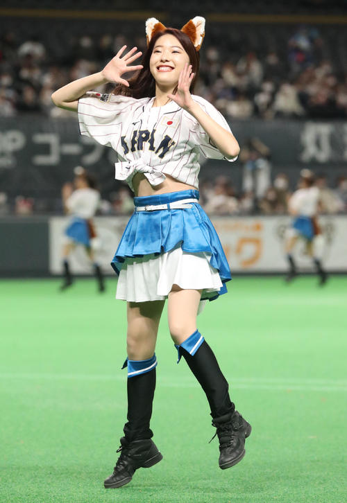 侍ジャパン仕様のコスチュームで「きつねダンス」を踊るファイターズガール（撮影・佐藤翔太）