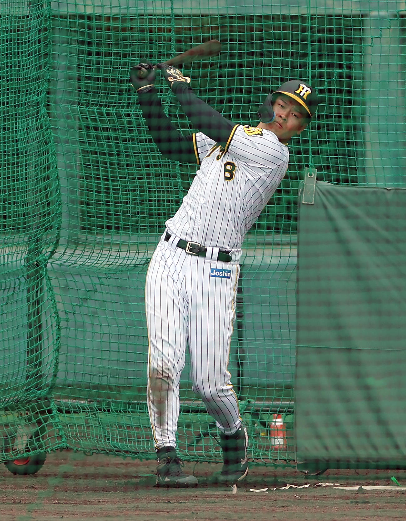 ランチ特打を行う阪神佐藤輝（撮影・前田充）