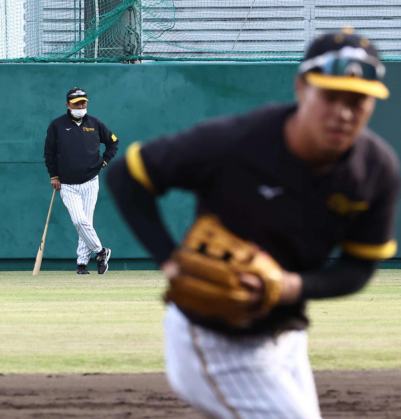 三塁ノックを受ける佐藤輝を外野から見守る岡田監督（撮影・上田博志）