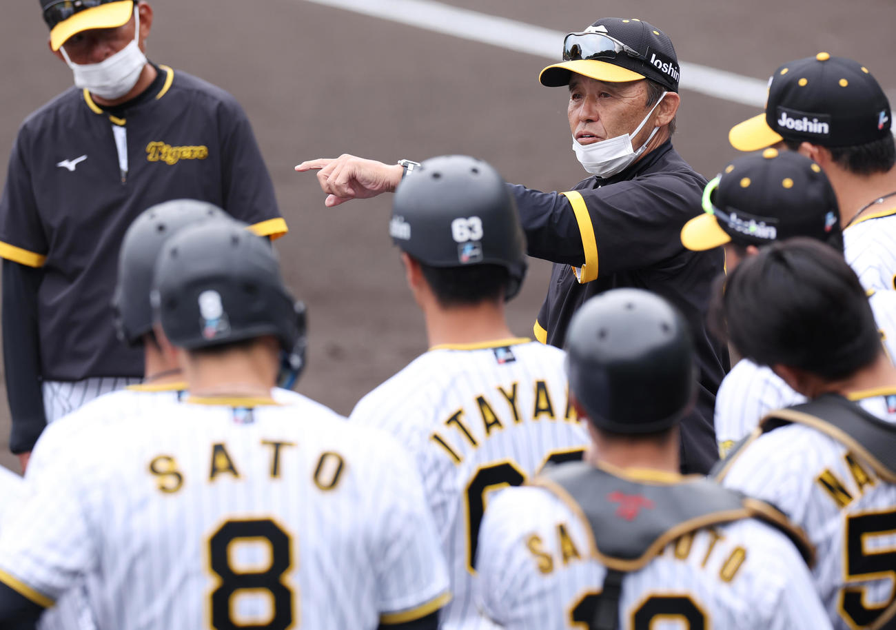 総合ノックを終えたナインを指導する阪神岡田監督（撮影・前田充）